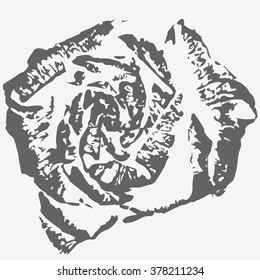 Beautiful rose. Imprint design element. Vector illustration.