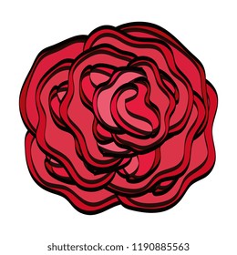 beautiful rose isolated icon
