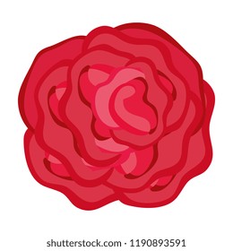 beautiful rose isolated icon