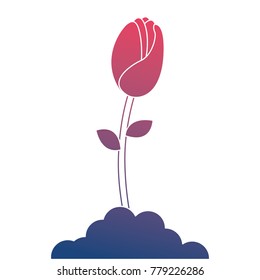 beautiful rose isolated icon