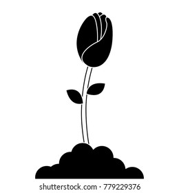 beautiful rose isolated icon