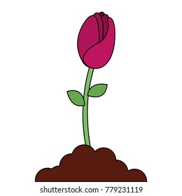 beautiful rose isolated icon