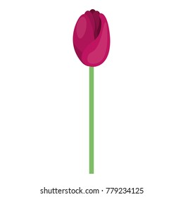 beautiful rose isolated icon
