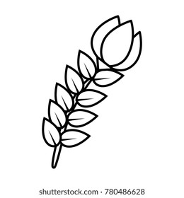 beautiful rose isolated icon