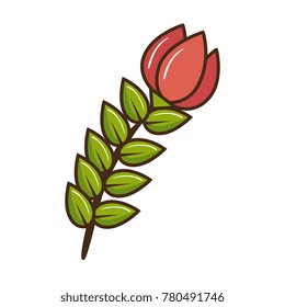 beautiful rose isolated icon