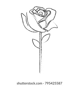 beautiful rose isolated icon