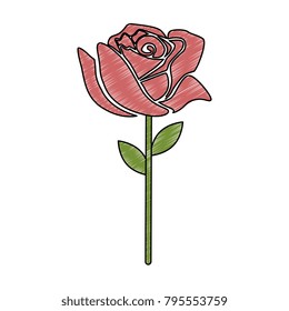 beautiful rose isolated icon