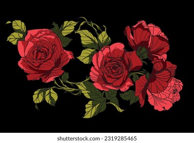 Beautiful rose isolated black  Red rose  Perfect for background greeting cards   invitations for wedding  birthday  Valentine's Day  Mother's Day 
