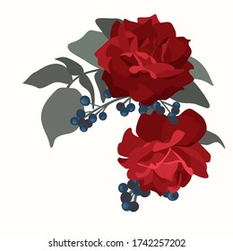 Beautiful rose isolated on white. Red rose. Perfect for background greeting cards and invitations of the wedding, birthday, Valentine's Day, Mother's Day.