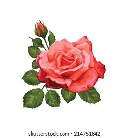 Beautiful rose isolated on white. Perfect for background greeting cards and invitations of the wedding, birthday, Valentine's Day, Mother's Day.