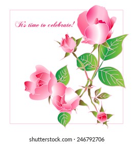 Beautiful rose isolated on white. Best for background greeting cards and invitations of the wedding, birthday, Valentine's Day, Mother's Day.