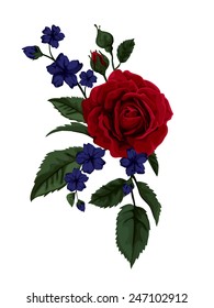 Beautiful rose isolated on white with blue flowers.