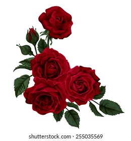 Beautiful rose isolated on white. Red rose. Perfect for background greeting cards and invitations of the wedding, birthday, Valentine's Day, Mother's Day.