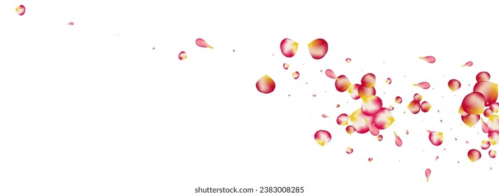 Beautiful Rose Japan Vector Panoramic White Background. Blur Cherry Wallpaper. Delicate Blossom Spring Poster. Pink Peach Fall Texture.