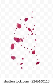 Hermoso Vector Rosa Japón Fondo Transparente. Textura de Lotus en japonés. Pancarta de la mosca de Petal Púrpura. Papel tapiz De Floral Rosa.