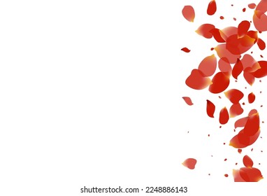 Beautiful Rose Japan Vector White Background. Tender Peach Texture. Red Petal Fly Banner. Delicate Flower Blur Illustration.