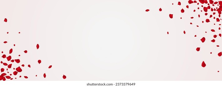 Beautiful Rose Japanese Vector Panoramic White Background. Flying Cherry Pattern. Red Petal Beauty Template. Delicate Blossom Blur Banner.