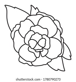 beautiful rose and leafs flower garden line style icon vector illustration design