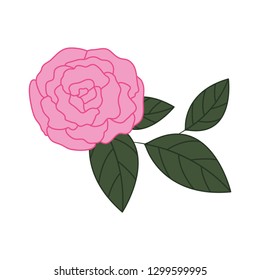 beautiful rose with leafs isolated icon