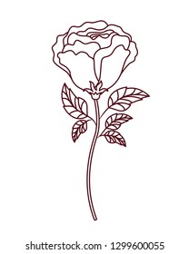 beautiful rose with leafs isolated icon