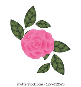beautiful rose with leafs isolated icon
