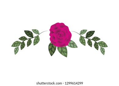 beautiful rose with leafs isolated icon