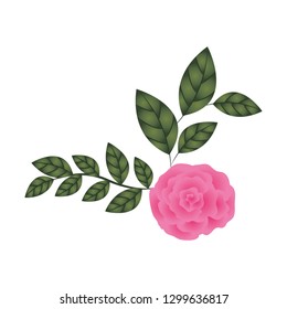 beautiful rose with leafs isolated icon