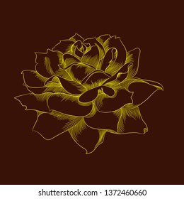beautiful rose outline