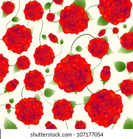 Beautiful rose pattern, vector illustration