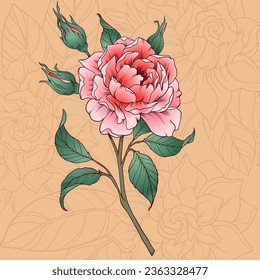 beautiful rose picture vector illustration