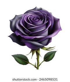 Wunderschöne Rose realistische Zeichnung Vektorillustration isoliert auf weißem Hintergrund