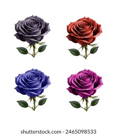 beautiful rose realistic drawing vector illustration isolated on white background