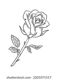 Beautiful rose sketch. Icon with blooming fragrant flower, stem, leaves and sharp thorns. Design element for postcard or wedding invitation. Cartoon simple hand drawn doodle style vector illustration