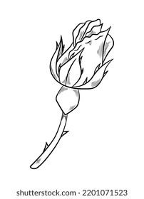 Beautiful rose sketch. Icon with unopened flower bud, thorns and stem. Flowering plant for bouquet. Design element for tattoo or engraving. Cartoon simple hand drawn doodle style vector illustration