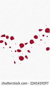 Beautiful Rose Summer Vector Transparent Background. Fall Sakura Illustration. Pink Petal Falling Backdrop. Delicate Blossom Flying Design.