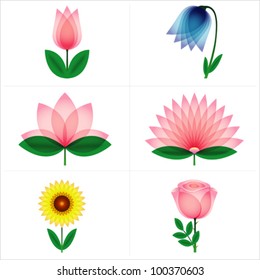 Beautiful rose, tulip, bell flower, aster, lotus, sunflower. Vector.