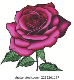 A Beautiful Rose Vector Art.This is 100% Vector File.
