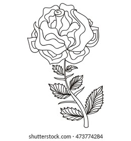 Beautiful rose. Vector illustration.