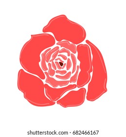 Beautiful rose vector illustration.