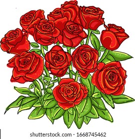 Beautiful rose. Vector illustration,Bunch of beautiful dark red roses isolated on white background