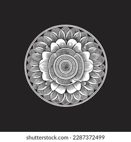 a beautiful rose vector line art