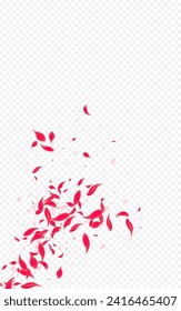 Beautiful Rose Vector Transparent Background. Summer Cherry Cover. Red Sakura Falling Banner. Delicate Japanese Floral Backdrop.