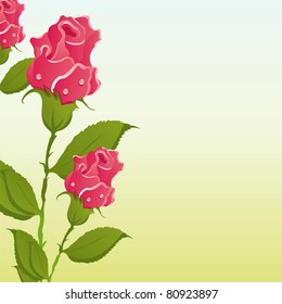 beautiful roses background