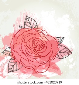 Beautiful roses bouquet drawing on beige grunge background. Hand drawn vector highly detailed line art illustration over watercolor painted texture. Wedding, beauty, tattoo outline design element. 