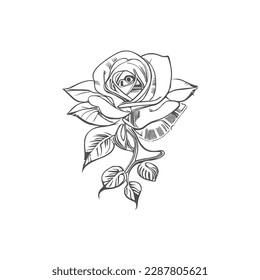 The Beautiful Roses Coloring Book is great for both adults and children.