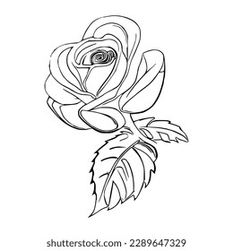 Beautiful Roses Coloring Book line art vector 