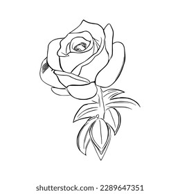 Beautiful Roses Coloring Book line art vector 