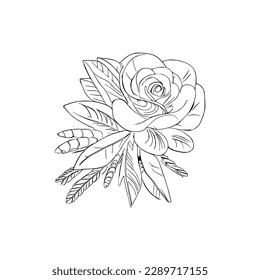 Beautiful Roses Flower Coloring book, line art vector