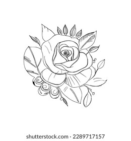 Beautiful Roses Flower Coloring book, line art vector