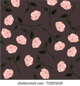 Beautiful roses flowers pattern background